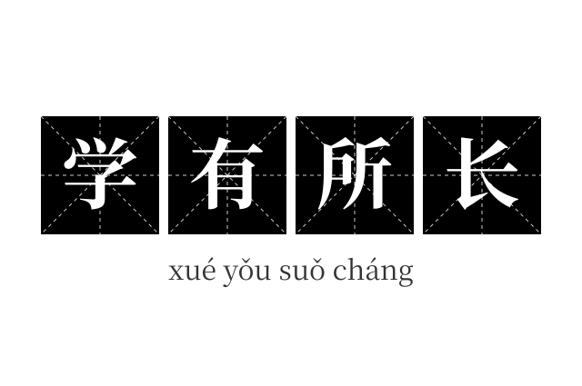学有所长成语