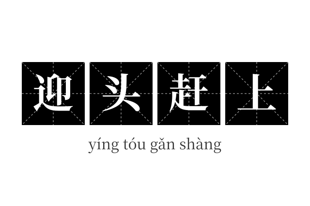 迎头赶上成语