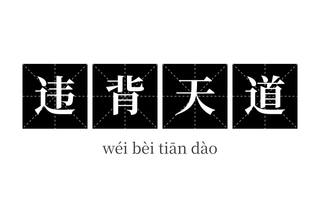 违背天道成语