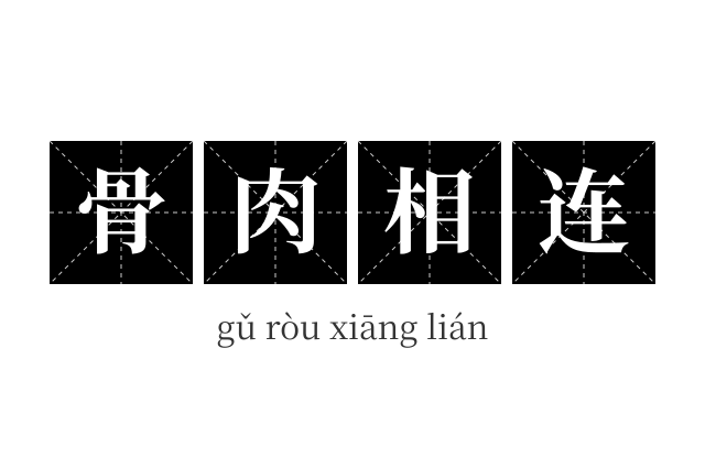 骨肉相连成语