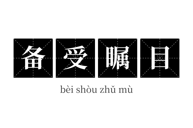 备受瞩目成语