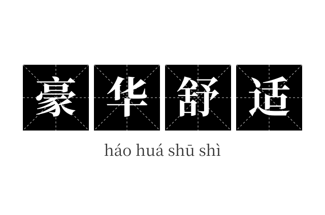豪华舒适成语