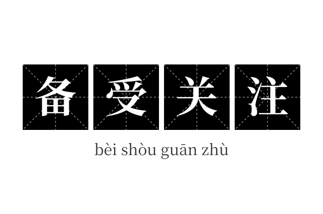 备受关注成语