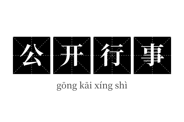 公开行事成语