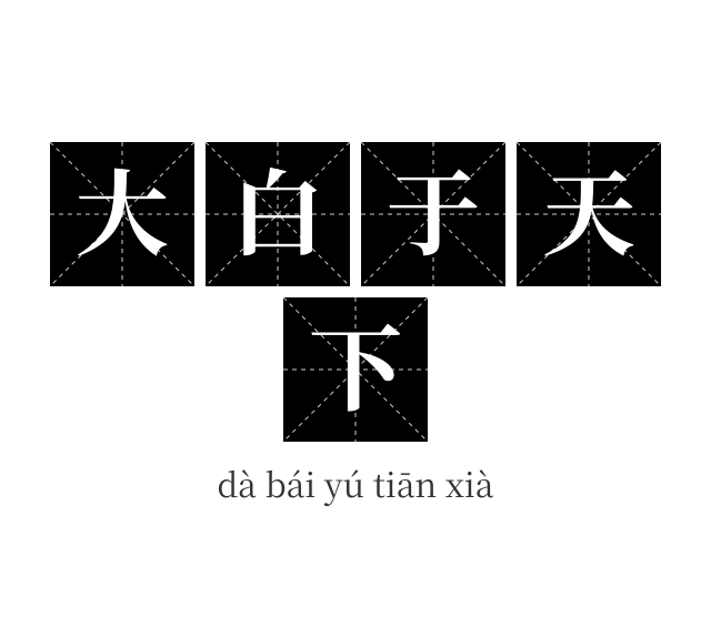 大白于天下成语