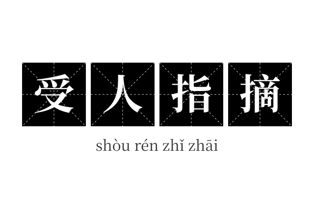 受人指摘成语