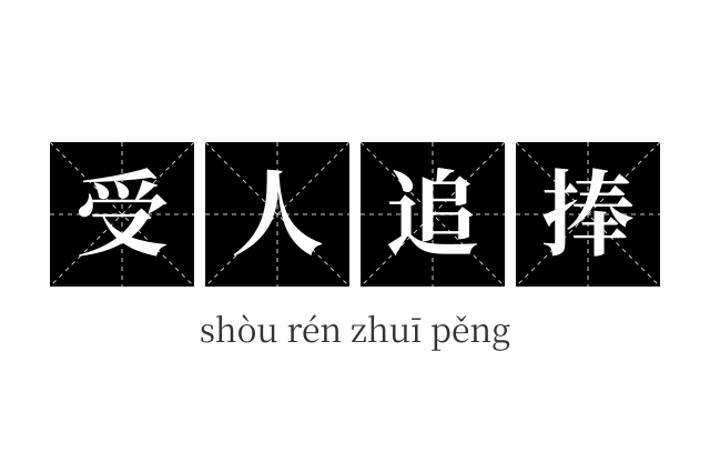 受人追捧成语