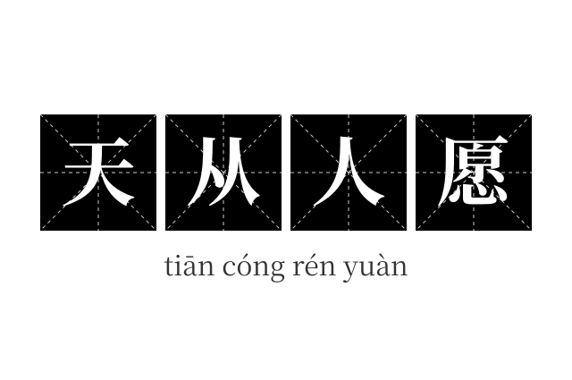 天从人愿成语