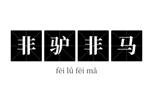 非驴非马成语