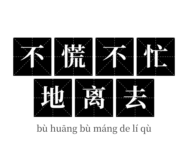 不慌不忙地离去成语