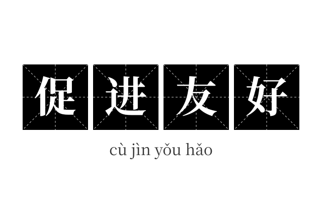 促进友好成语