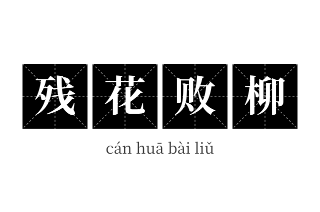 残花败柳成语