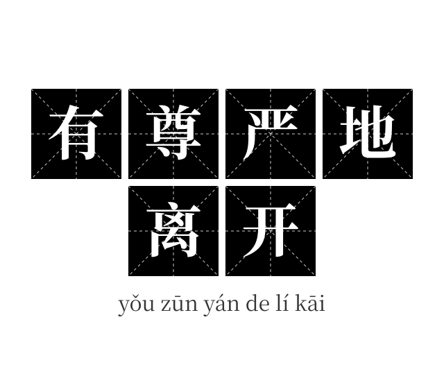 有尊严地离开成语