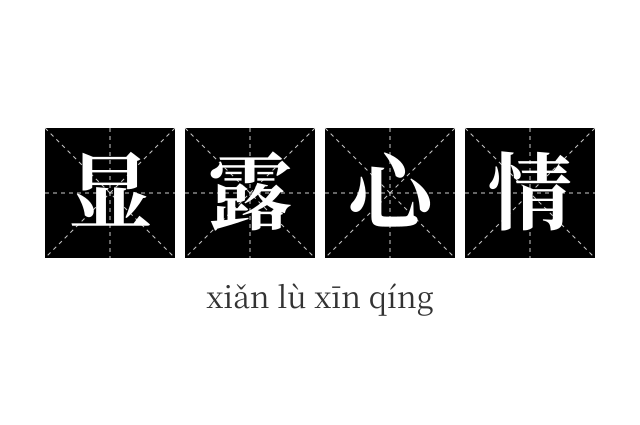 显露心情成语