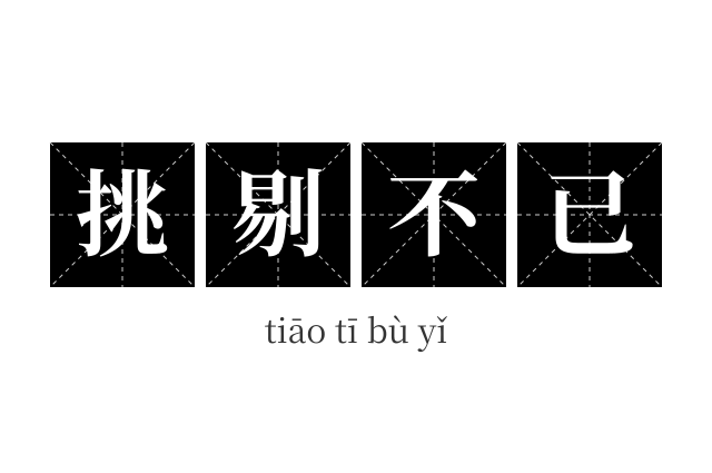 挑剔不已成语