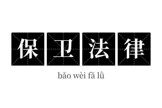 保卫法律成语