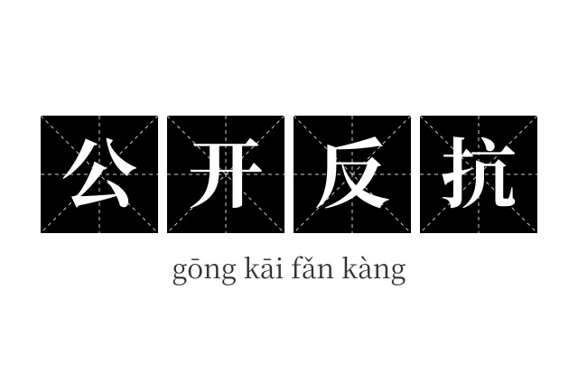 公开反抗成语