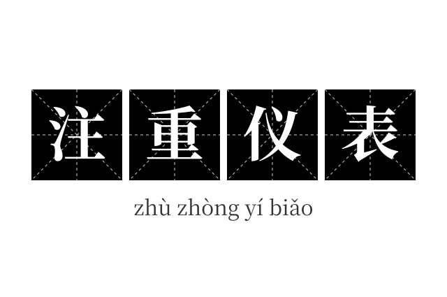 注重仪表成语