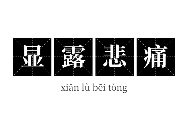 显露悲痛成语