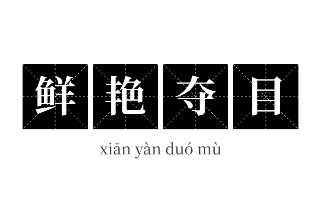 鲜艳夺目成语