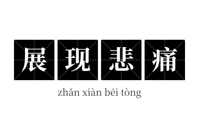 展现悲痛成语