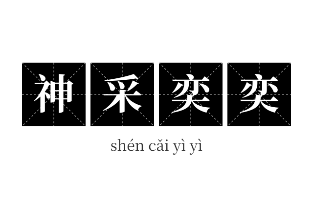 神采奕奕成语