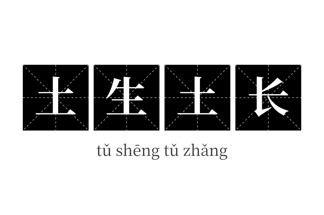 土生土长成语