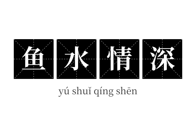 鱼水情深成语