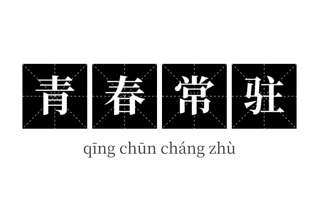 青春常驻成语