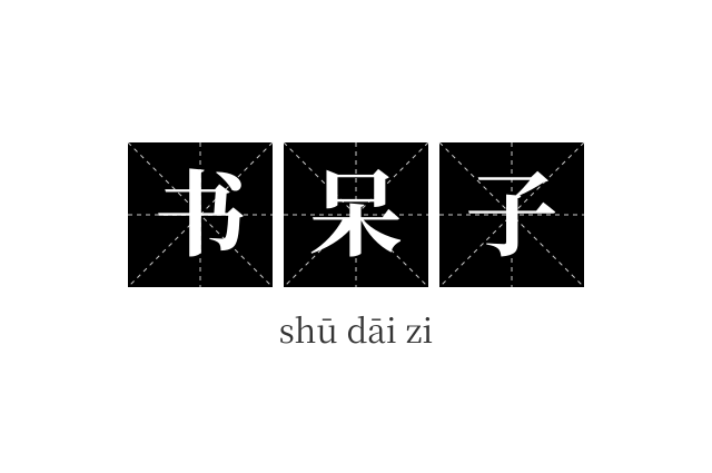 书呆子成语