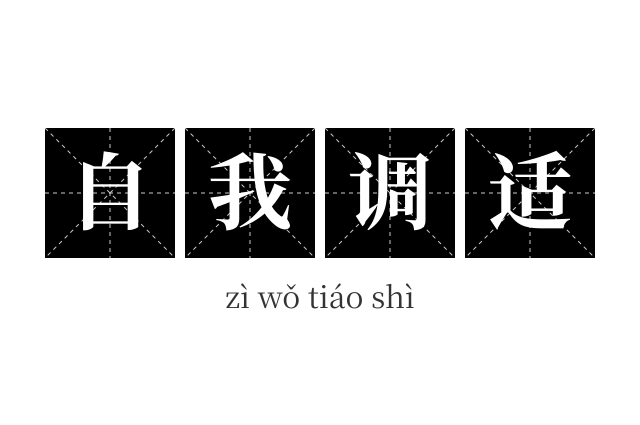自我调适成语