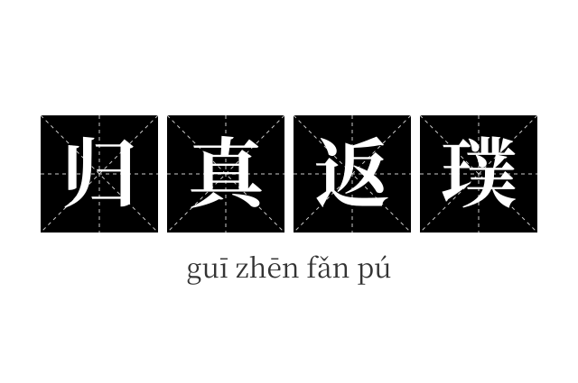 归真返璞成语