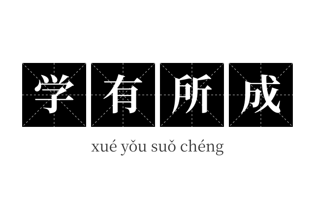 学有所成成语