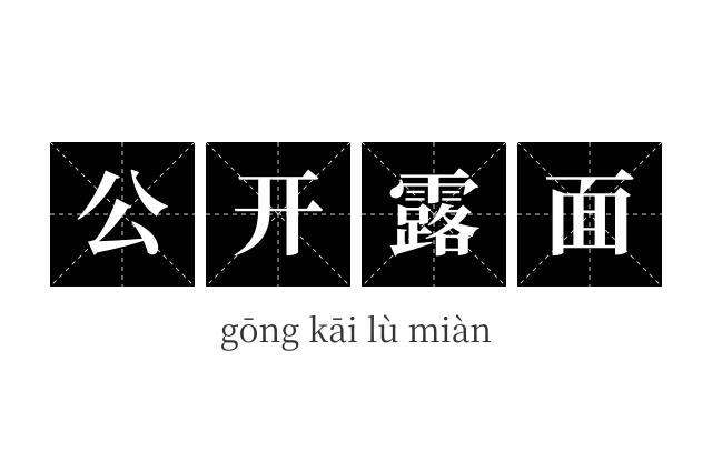 公开露面成语