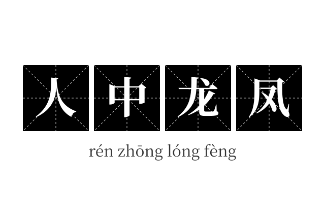 人中龙凤成语